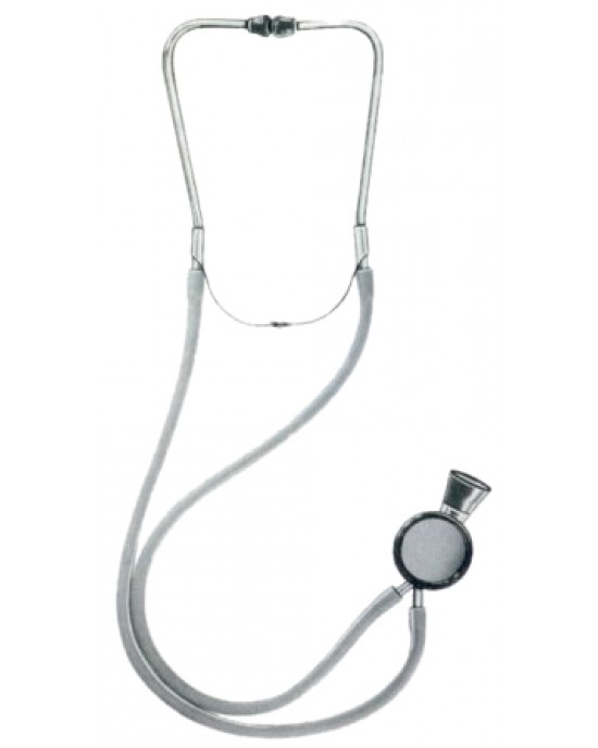 Dual Stethoscopes