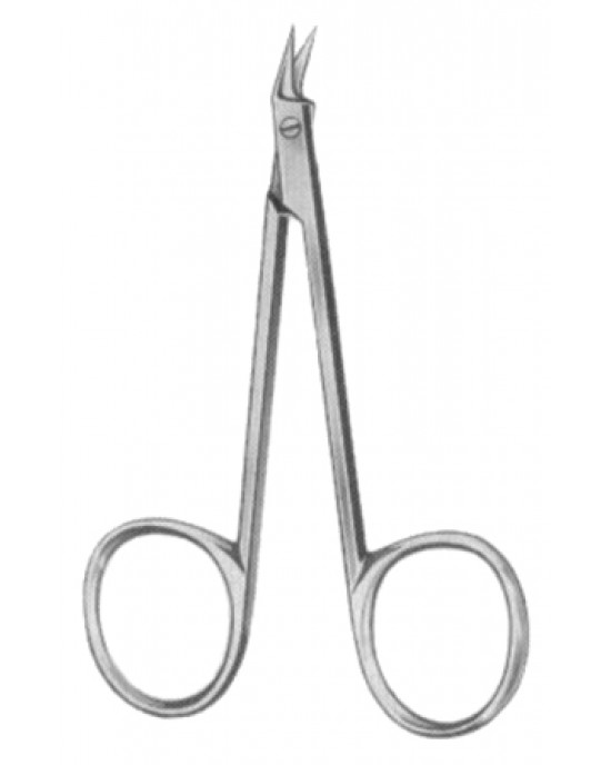 Fine Scissors