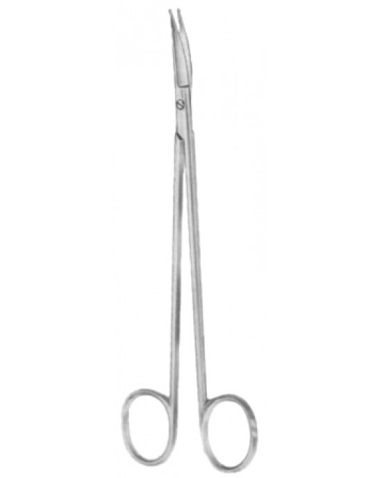 Strully Dissecting Scissors