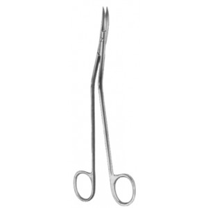 Dandy Dissecting Scissors