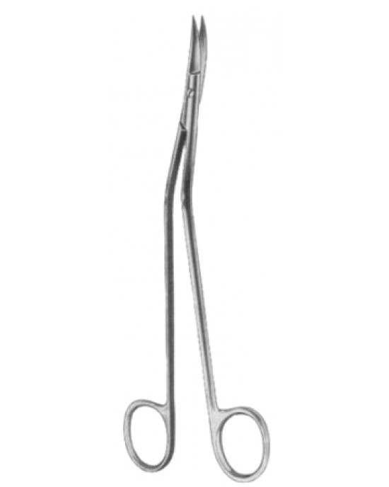 Dandy Dissecting Scissors