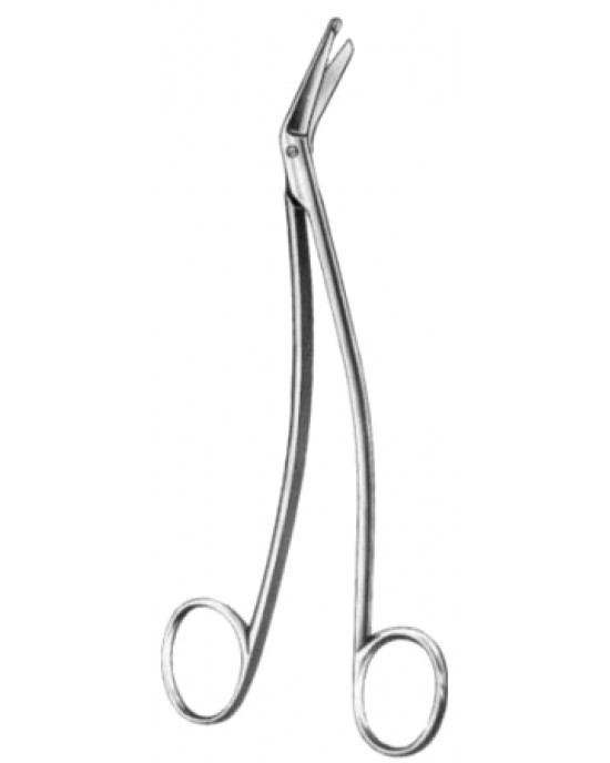 Schmieden-Taylor Dura Scissors