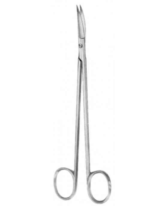 Strully Dissecting Scissors