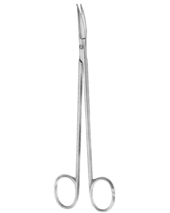 Strully Dissecting Scissors