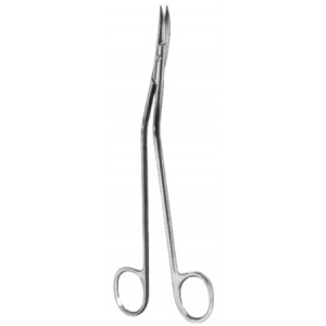 Dandy Dissecting Scissors