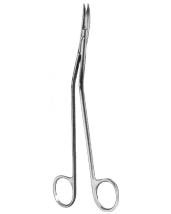 Dandy Dissecting Scissors