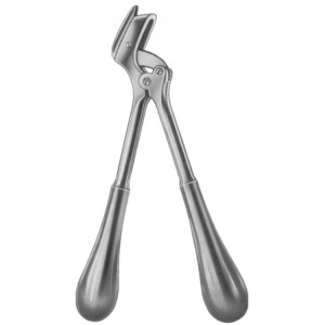 Stille Plaster of Paris