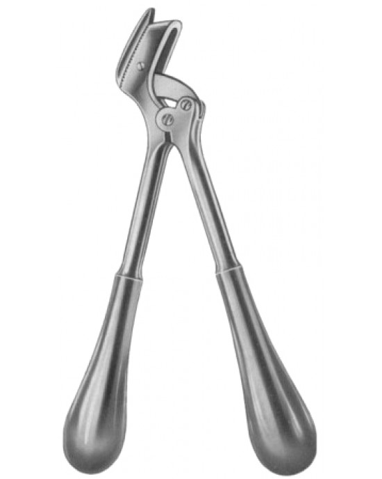 Stille Plaster of Paris