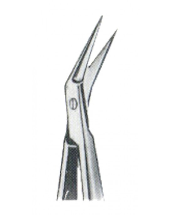 Iridectomy Scissors