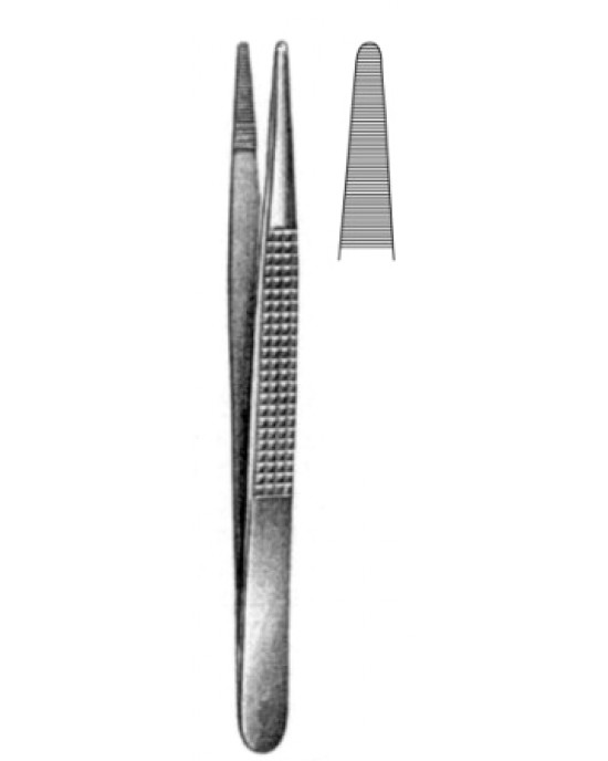 Bonney Disecting Fcps