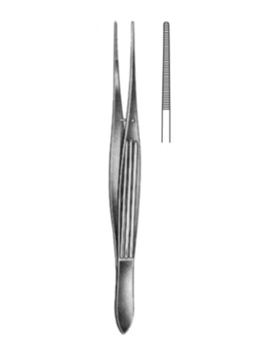 McIndoe Dissecting Fcps