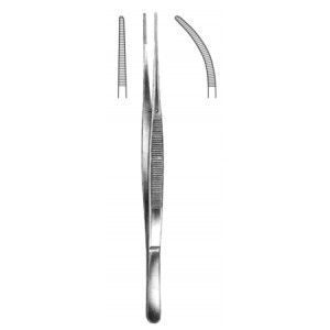 Taylor Dressing Fcps