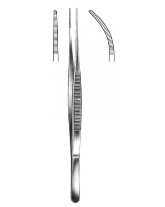 Taylor Dressing Fcps