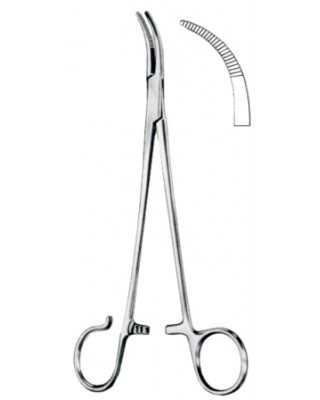 Schnidt Hemostatic Forceps