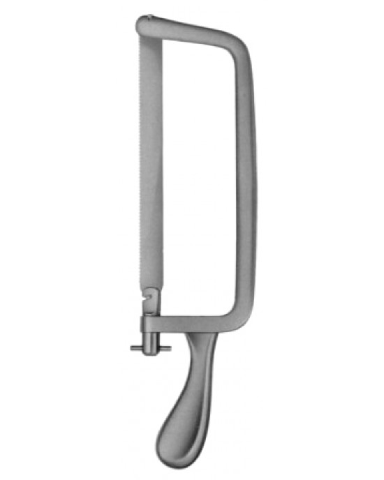 Charriere Amputation saw