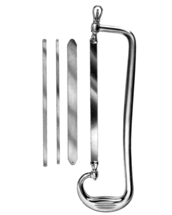 Rust Amputation Saw